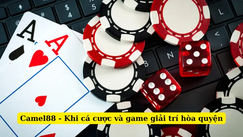 Camel88 - Khi cá cược và game giải trí hòa quyện