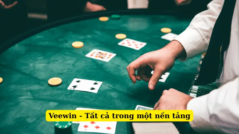 Veewin - Tất cả trong một nền tảng